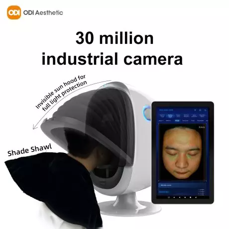 2025 (3)