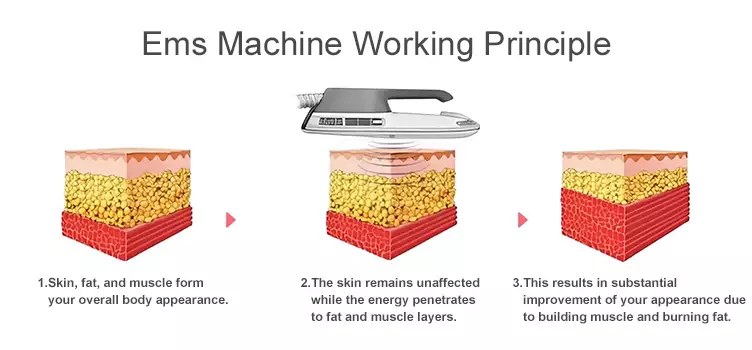 EMS-Body-Sculpting-Machines